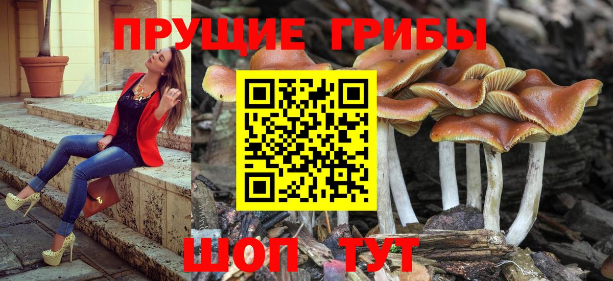 А ПВП СОЛЬ кристаллы  Заводоуковск  Экстази  Меф МЯУ МЯУ кристаллы  Вход с VPN  ГАШ 